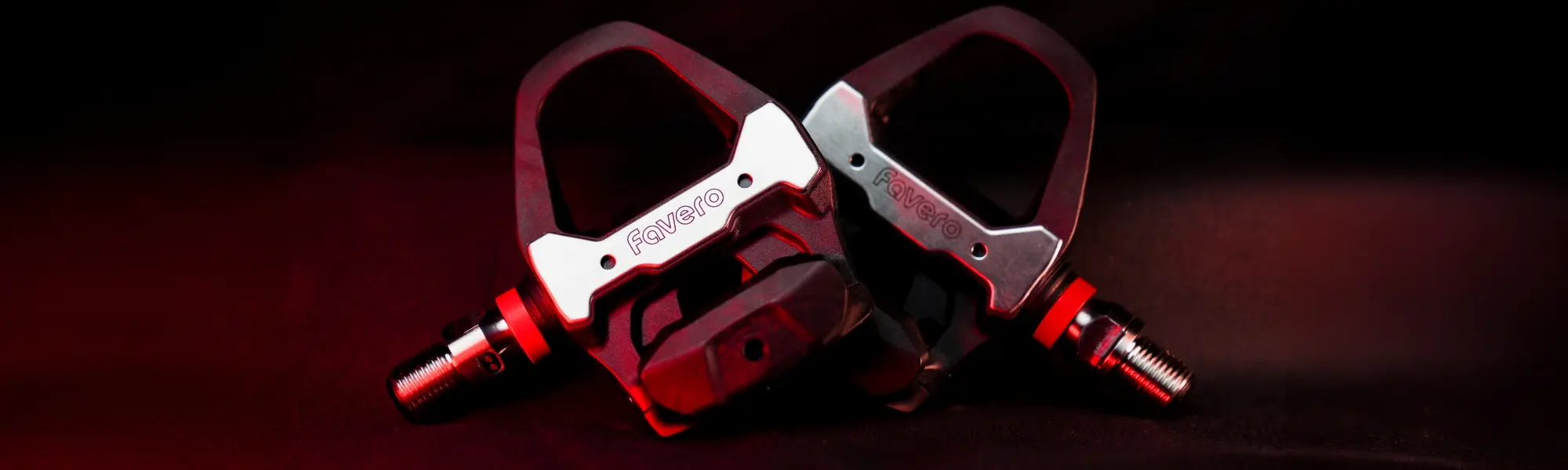 Topprestaties in 2025!