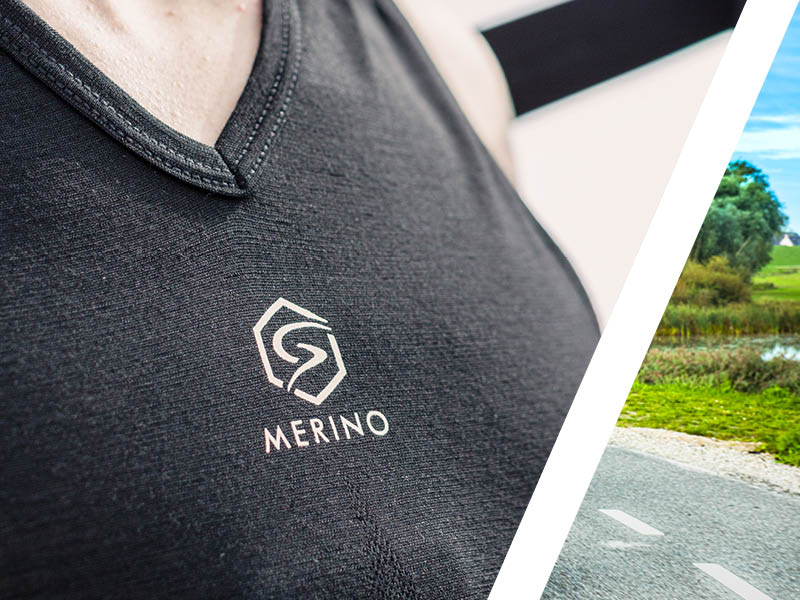 Merino