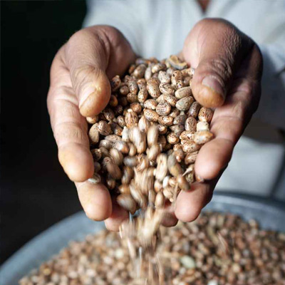 Oog voor duurzaamheid