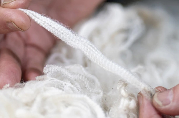 Woolpan