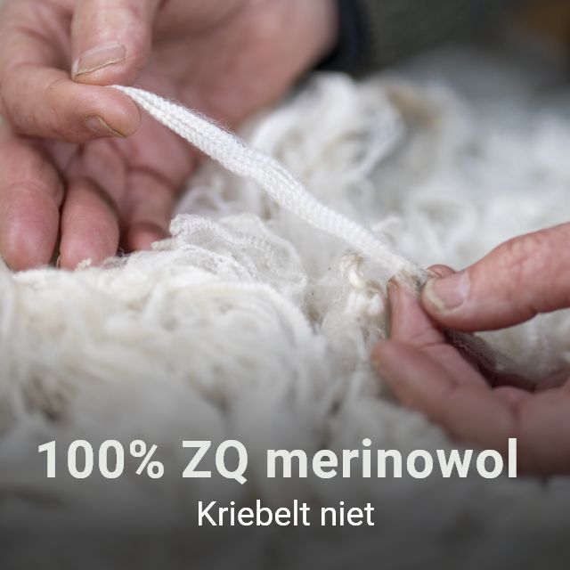 ZQ Merinowol