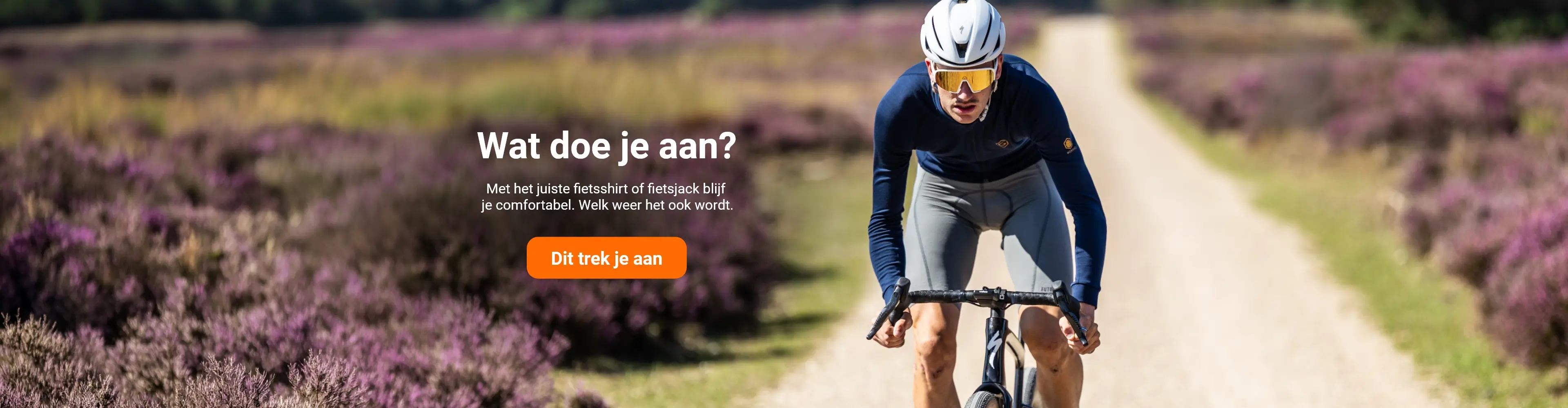 A cyclist wearing a blue jersey and white helmet rides on a path surrounded by purple heather.