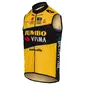 AGU Jumbo-Visma Replica Windvest Geel/Zwart Heren