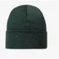 Buff Merino Heavyweight Muts Groen