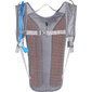 Camelbak Classic Light 2L Drinkrugzak Grijs