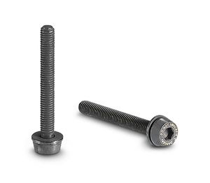 Campagnolo Bouten voor Schijfremklauw Achter 2 stuks