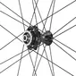 Campagnolo Bora WTO 60 DARK Carbon Disc Race Wielset Zwart