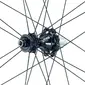 Campagnolo Bora WTO 35 Disc 2WF C23 Carbon Race Wielset Zwart
