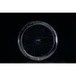 Campagnolo Bora WTO 60 Disc 2WF C23 Carbon Race Wielset Zwart