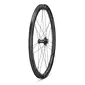 Campagnolo SHAMAL Dual Profile 2WF C23 Carbon Disc Race Wielset