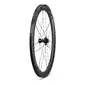 Campagnolo Bora X 50 2WF C27 Disc Race Wielset