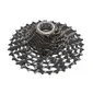 Campagnolo Record Cassette 13 Speed