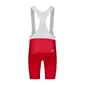 Craft LMTD ELEMENTS Fietsbroek Kort Lava Rood Heren