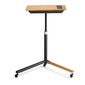 Elite Trainer Desk