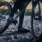 Fizik Terra Nanuq GTX Mountainbikeschoenen Grijs/Zwart
