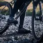 Fizik Terra Nanuq GTX Mountainbikeschoenen Zwart/Grijs