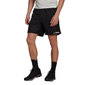 adidas Terrex Trail Hardloopbroek Kort Zwart Heren