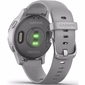 Garmin Vivoactive 4S Sporthorloge Grijs/Zilver