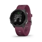 Garmin Forerunner 245 GPS Sporthorloge Zwart/Bordeaux Rood