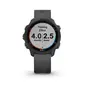Garmin Forerunner 245 GPS Sporthorloge Zwart/Grijs