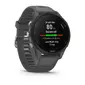 Garmin Forerunner 255 Basic GPS Sporthorloge Grijs