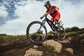 Michelin Wild Enduro GumX MTB Voorband Zwart