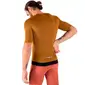 Nalini Pure 3BGO Fietsshirt Korte Mouwen Bruin Heren