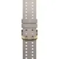 Polar Vantage M3 Polsband 22mm S-L Grijs/Goud