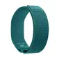 Polar WB Loop GEN2 Polsband Groen/Blauw