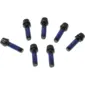 Ritchey WCS Trail Stuurpen Vervangingsbouten 6 Stuks