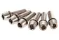 Ritchey WCS 4Axis Titanium Stuupen Vervangingsbouten Zilver 6 Stuks