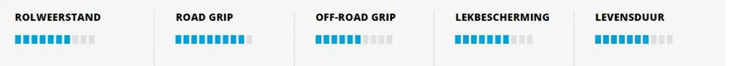 Schwalbe G-One Allround Addix Performance RaceGuard TLE Gravelband