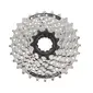 Shimano Acera CS-HG41 Cassette 7 Speed