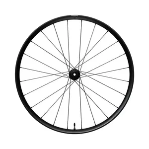 Shimano RX180 TL E-Thru Disc Achterwiel