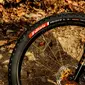 Vittoria Peyote XC Trail G2 TLR MTB Buitenband Zwart