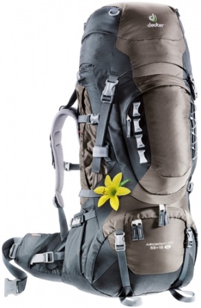 Deuter Aircontact Pro 55 +15 SL Grijs/Bruin Rugzak