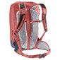 Deuter Rotsoord 25+5 Fietsrugzak Rood/Grijs