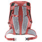 Deuter Rotsoord 25+5 Fietsrugzak Rood/Grijs
