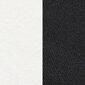 Falke RU4 Short Hardloopsokken 2-Pack Zwart/Wit Heren