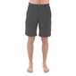 The North Face Paramount Peak Convertible Broek Heren Grijs