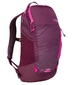The North Face Pinyon Rugzak Paars/Roze Dames