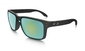 Oakley Holbrook Sport Zonnebril Polarized Lens Zwart/Groen