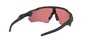 Oakley Radar EV Path Fietsbril Zwart met PRIZM Trail Torch Lens