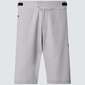 Oakley Arroyo Trail Fietsbroek Kort Grijs Heren
