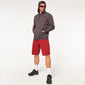 Oakley FREERIDE Fleece Hoodie Tonal Grijs Heren