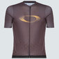 Oakley ENDURANCE Pkble Fietsshirt Korte Mouwen Grijs Heren