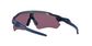 Oakley Radar EV Path Fietsbril Mat Zilver/Blauw met Prizm Road Black Le