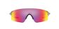 Oakley EVZero Blades Sport Zonnebril Grijs met Prizm Road Lens