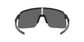 Oakley Sutro Lite Fietsbril Hi Res Mat Carbon met Prizm Black Lens