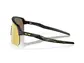 Oakley Sutro Lite Sport Zonnebril Prizm 24K Lens Mat Zwart